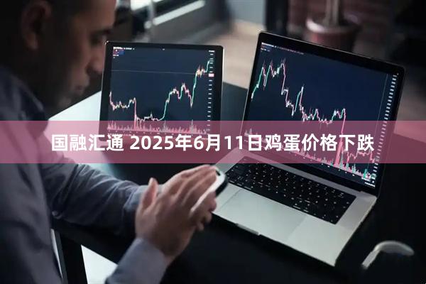 国融汇通 2025年6月11日鸡蛋价格下跌