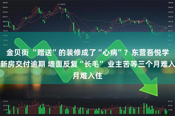 金贝街 “赠送”的装修成了“心病”？东营吾悦学府新房交付逾期 墙面反复“长毛” 业主苦等三个月难入住